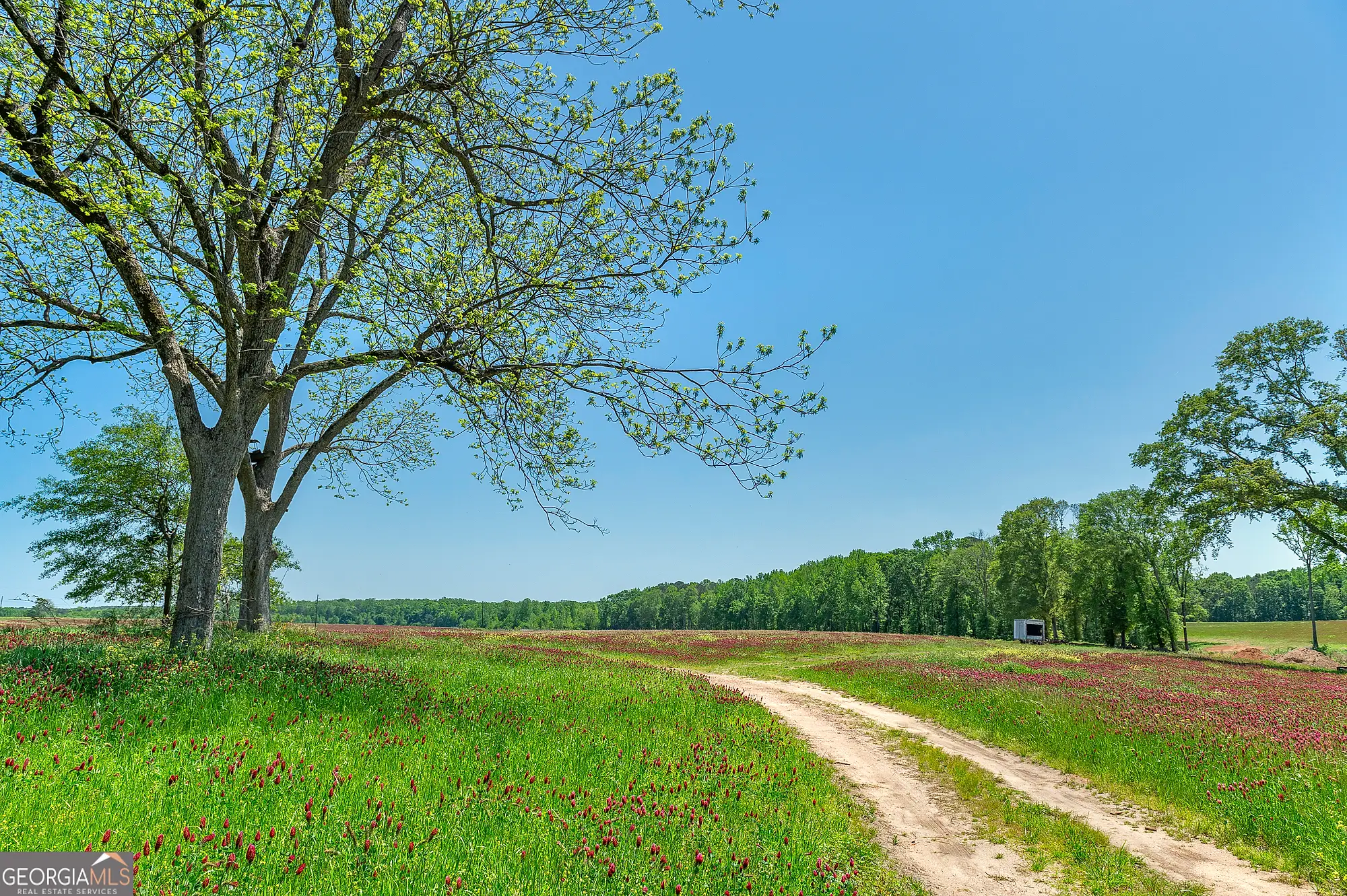 Cottage Road