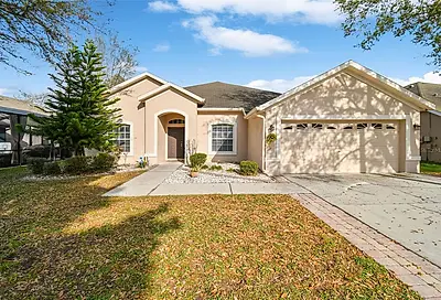 11806 Summer Springs Drive Riverview FL 33579