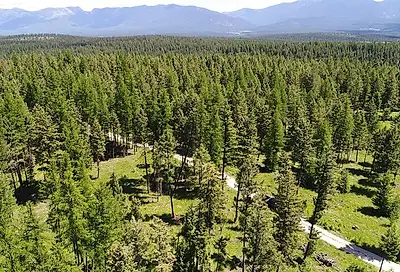 Lot 2 Meadow Springs Subdivision Fortine MT 59918