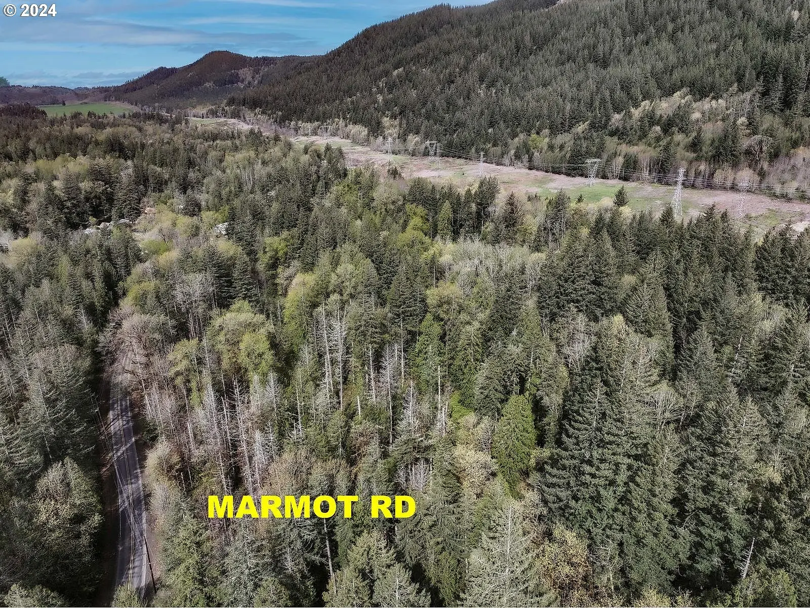 Marmot Rd