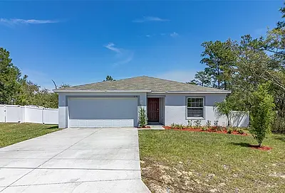 2136 Hibiscus Place Kissimmee FL 34759