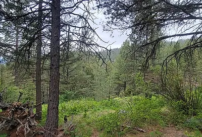 NHN Copper Ridge Trail Florence MT 59833