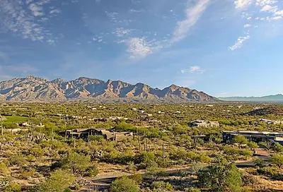 1906 W Mountain Mirage Place Oro Valley AZ 85755