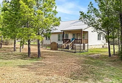226 Pine Valley Drive Paige TX 78659