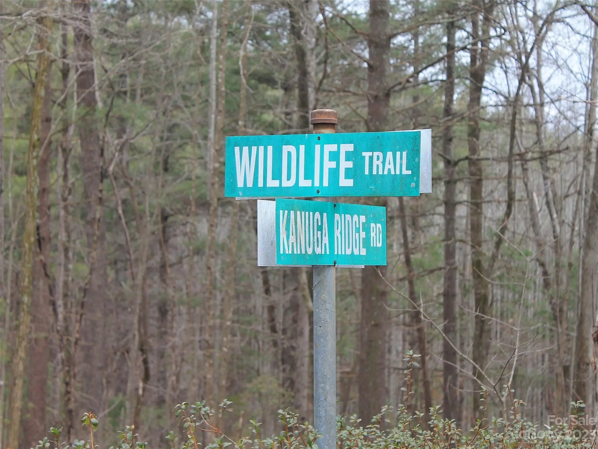 000 Wildlife Trail