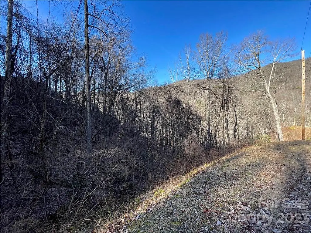 Lot 38 Brush Creek Mountain Road