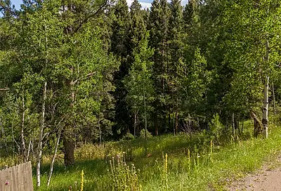 28380 Pine Trail Conifer CO 80433