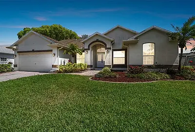 3036 Pineview Drive Holiday FL 34691