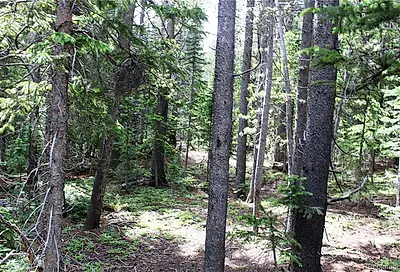 Lot 209 Upper Forest Road Idaho Springs CO 80452