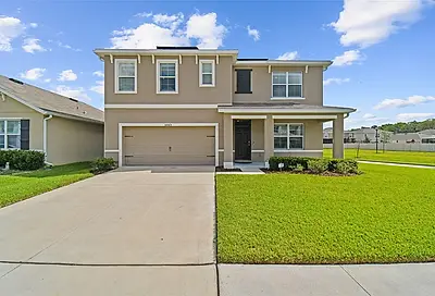 32665 Brooks Hawk Lane Wesley Chapel FL 33543