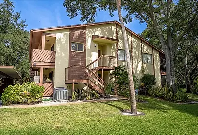 2269 Beacon Place Drive Safety Harbor FL 34695