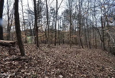10.02 Acre Old Tazewell Pike Luttrell TN 37779