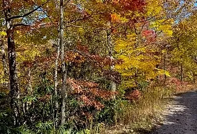 10.07 Acres Sand Branch Road Black Mountain NC 28711