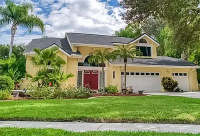 3536 Landmark Trail Palm Harbor FL 34684