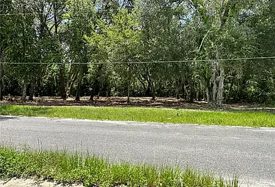 00 SE 134th Ave Road Weirsdale FL 32195