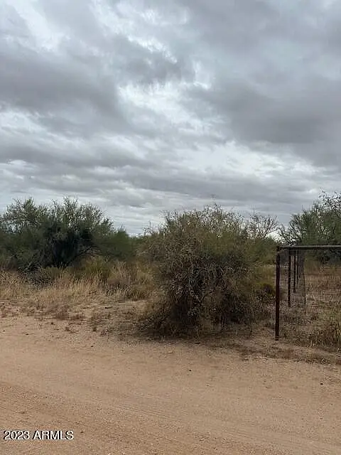 XXX E Tumbleweed Drive