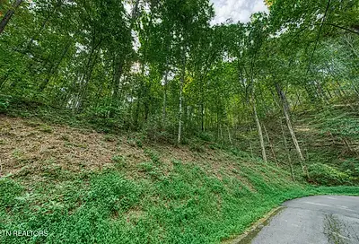 Lot 11 Stepping Stone Drive Sevierville TN 37862