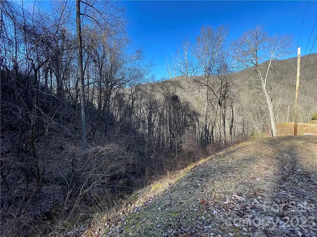 Lot 38 Brush Creek Mountain Road