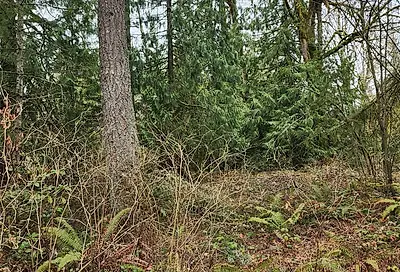 Vacant Land Maple Valley WA 98038