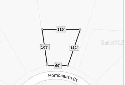 1327 Homosassa Court Kissimmee FL 34759