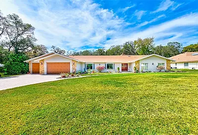 4603 Lake In The Woods Drive Spring Hill FL 34607