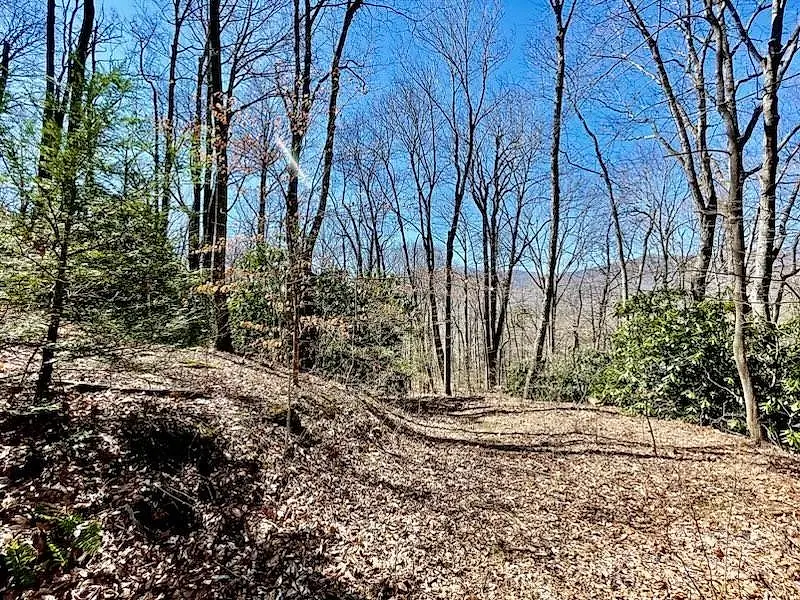 11.12 Acres Middle Mountain Road