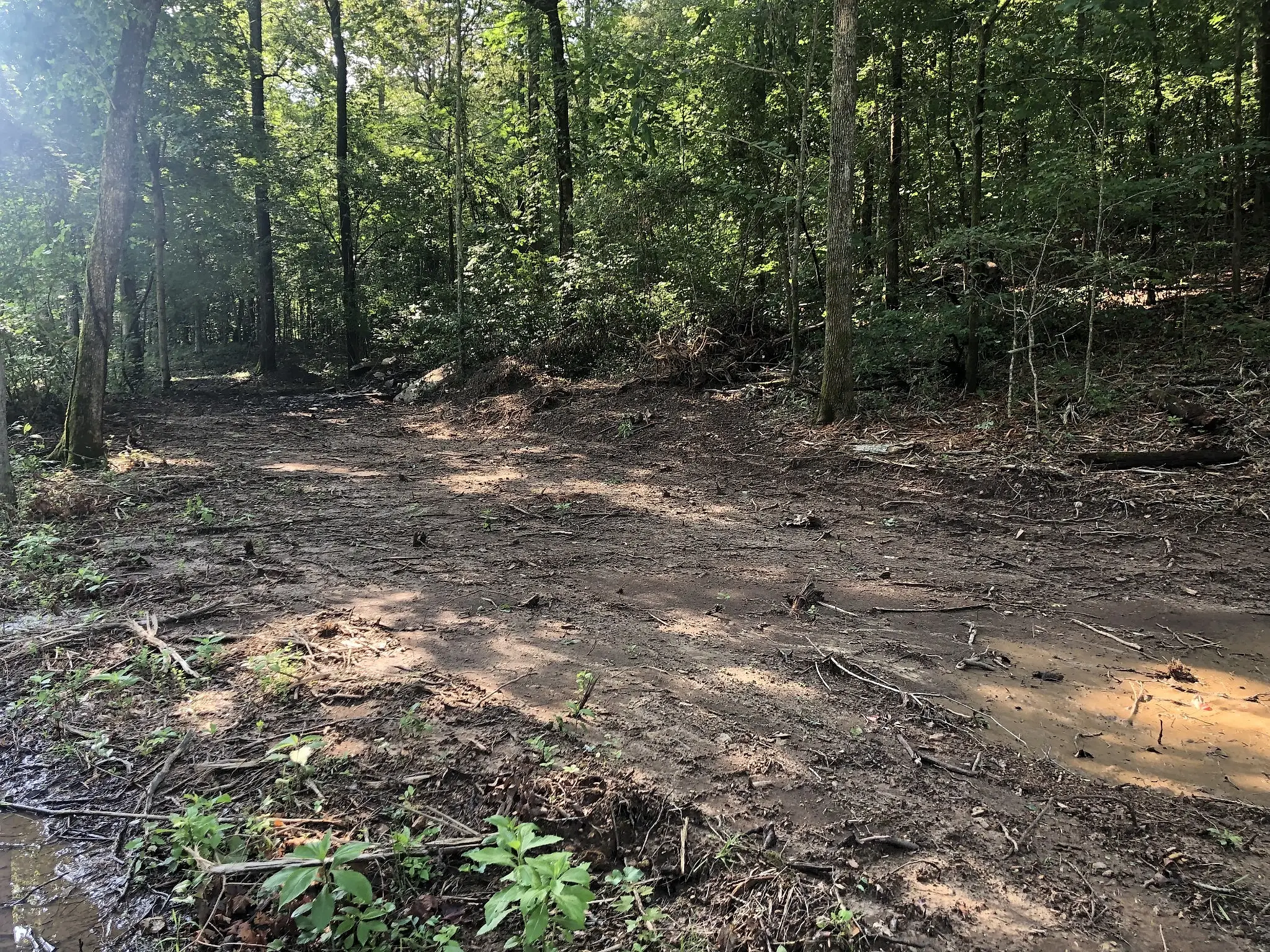 Murphy Hollow Road Tract 1