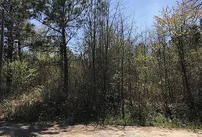 Lot 212 King Richard Court Red Springs NC 28377
