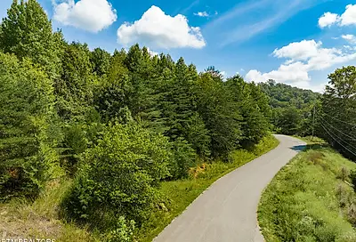 Clear Water Rd New Tazewell TN 37825