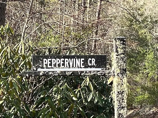000 Peppervine Circle
