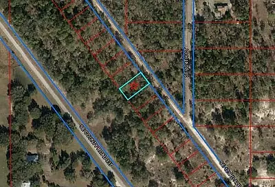 Tbd SE 123rd Avenue Dunnellon FL 34431