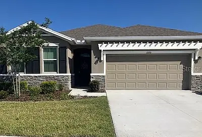 13370 Waterleaf Garden Circle Riverview FL 33579