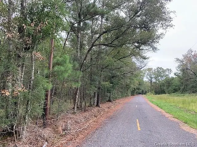 Traylors Trail