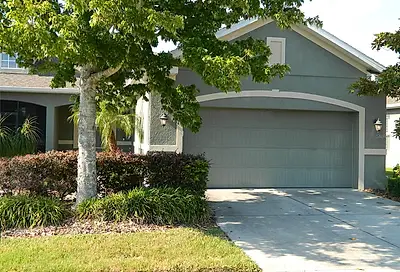 2153 Parrot Fish Drive Holiday FL 34691
