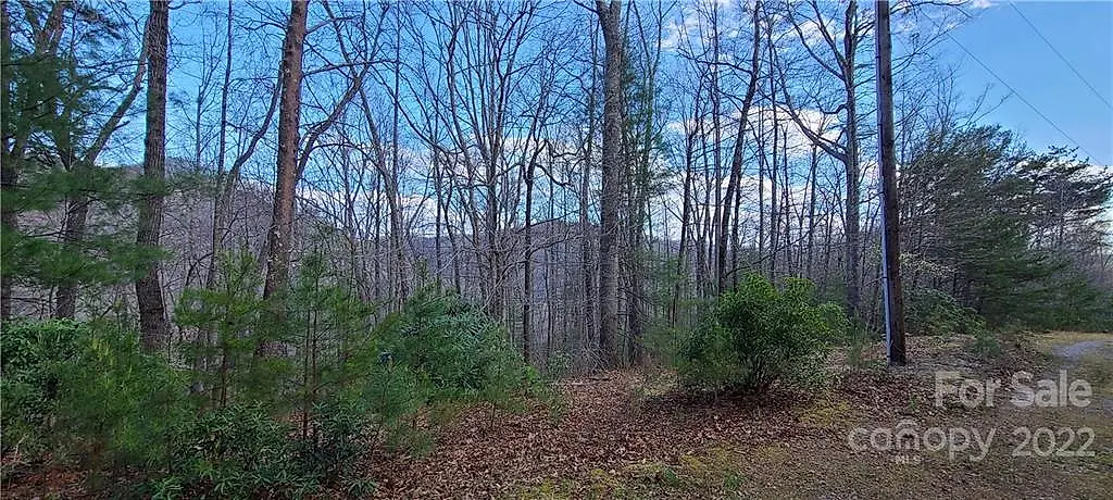 68 Acres On Bear Branch Road