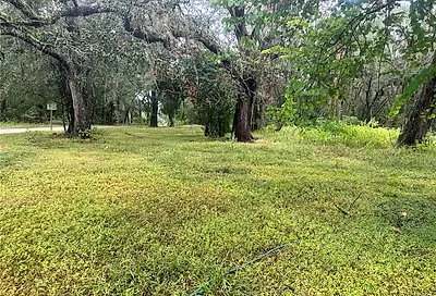 3633 Panther Path Road Lutz FL 33559