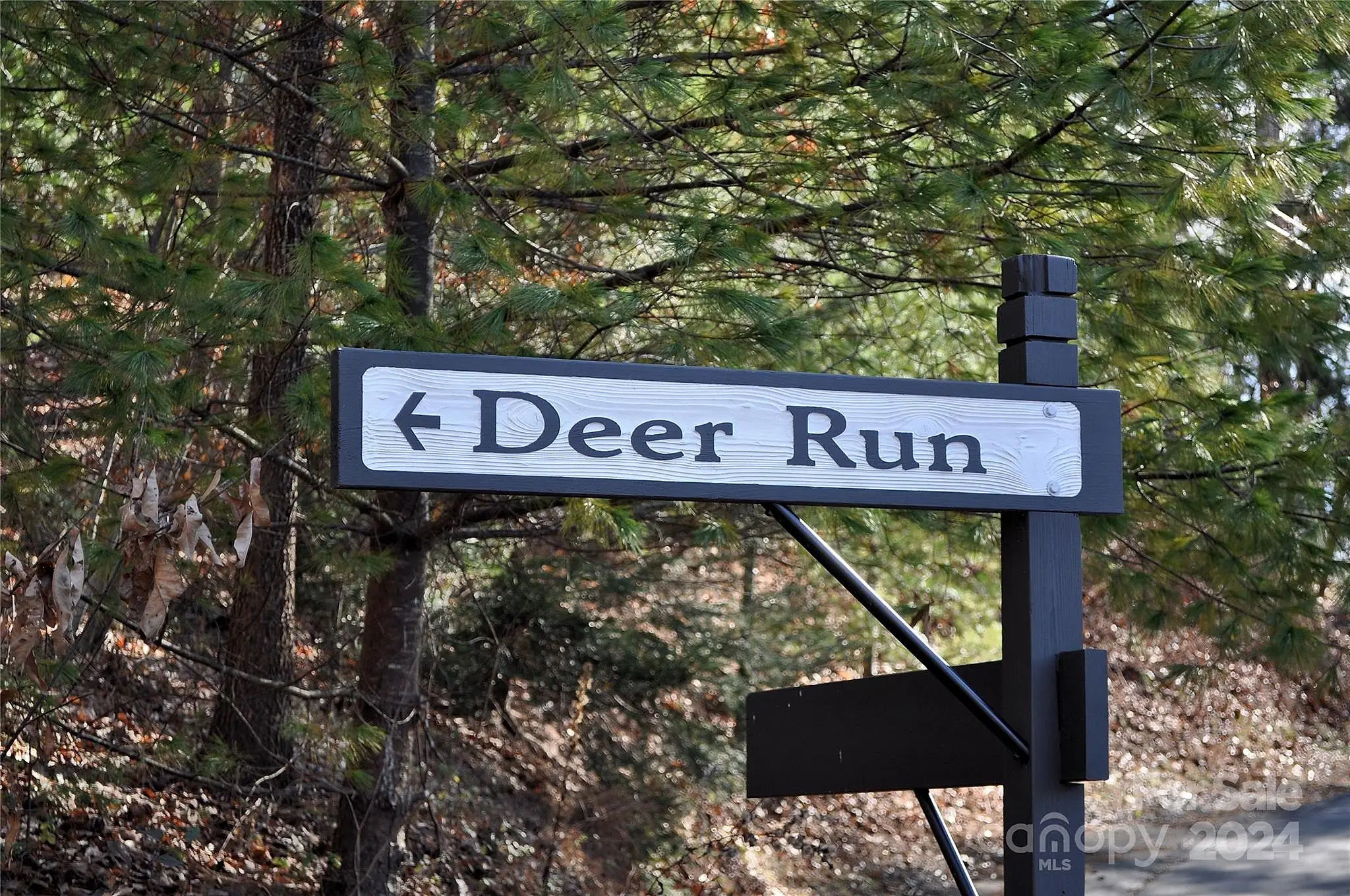 111 Deer Run Lane