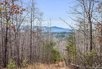 Lot 4 Parkway North Road Mill Spring NC 28756