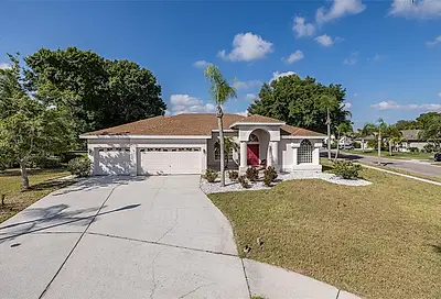 1105 Forester Court Trinity FL 34655