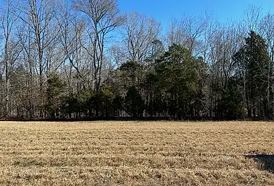 3 Old Highway 48 Tract 3 Cunningham TN 37052