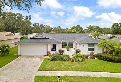103 Timberview Drive Safety Harbor FL 34695