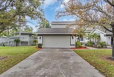 461 E Curlew Place Tarpon Springs FL 34689