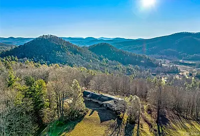 1411 Cabin Creek Road Zirconia NC 28790