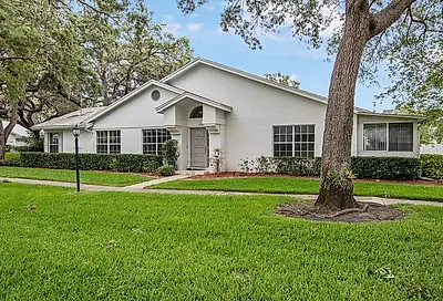 2910 Featherstone Drive Holiday FL 34691