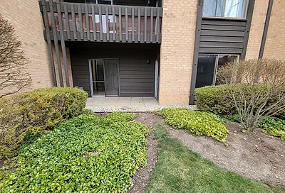 6149 Knoll Wood Court Willowbrook IL 60527