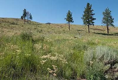 Sawtooth View Road Methow WA 98846