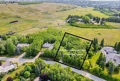 193 Slopeview Drive SW Calgary AB T3H4G6