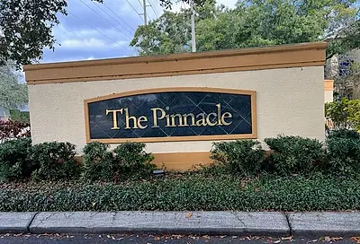 5602 Pinnacle Heights Circle Tampa FL 33624