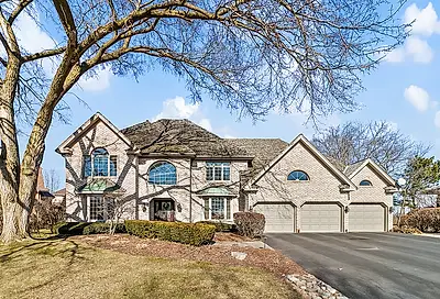 10538 Wildflower Road Orland Park IL 60462