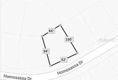 1339 Homosassa Drive Kissimmee FL 34759